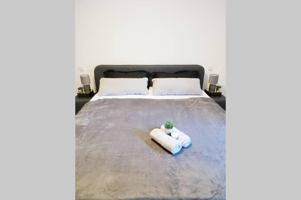 Ferienwohnung Rhode Rielasingen-Worblingen Bagian luar foto